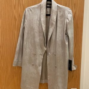Metallic Zara blazer